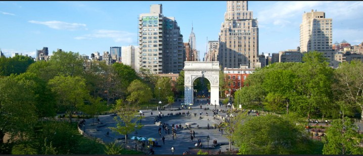 New York University